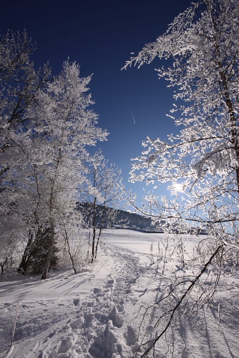 Lac de Joux - 032